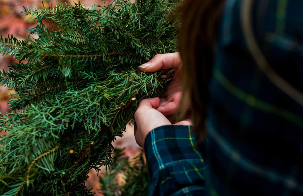 christmas-tree-collection-Battersea